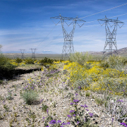 High transmission power lines cross a desert area.