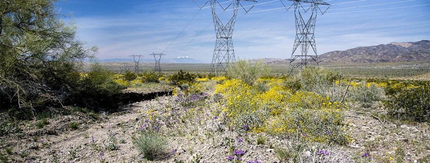 High transmission power lines cross a desert area.